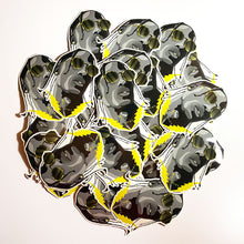 Load image into Gallery viewer, Travis $cott